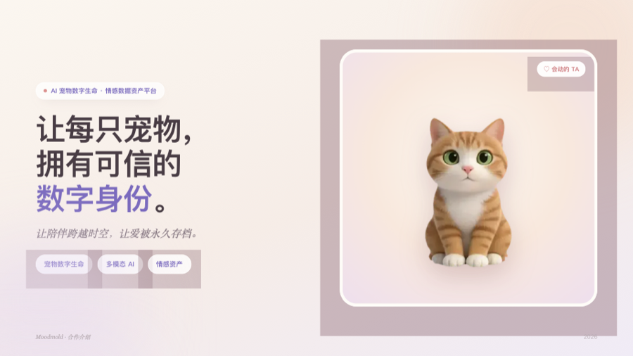 Moodmold 产品介绍封面